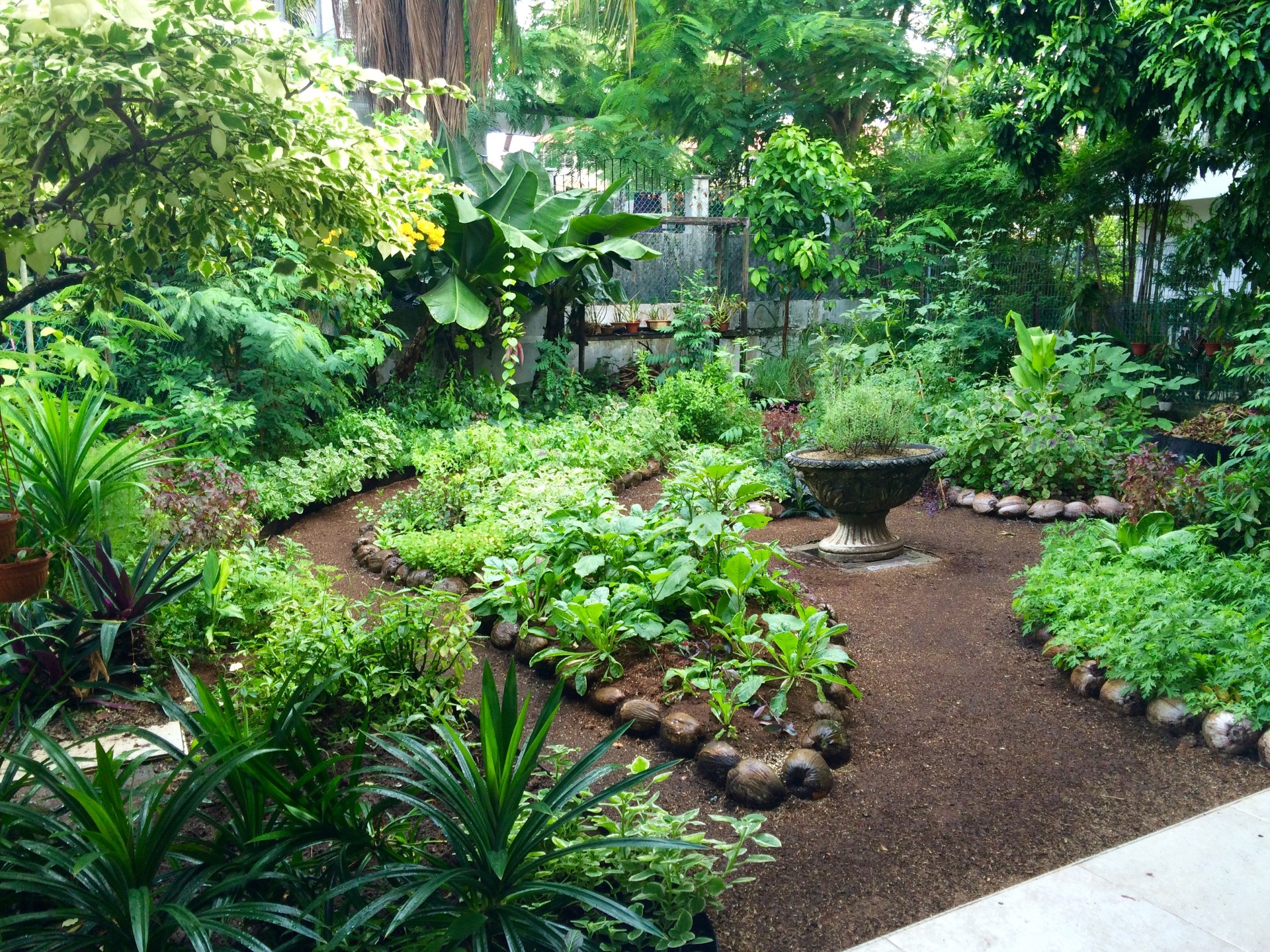 Diving into Urban Permaculture in 2 Days - Carbon InQ on Permaculture Garden Layout
 id=78207